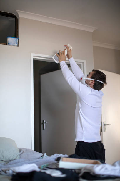 Woodsboro, TX Mold Removal Company
